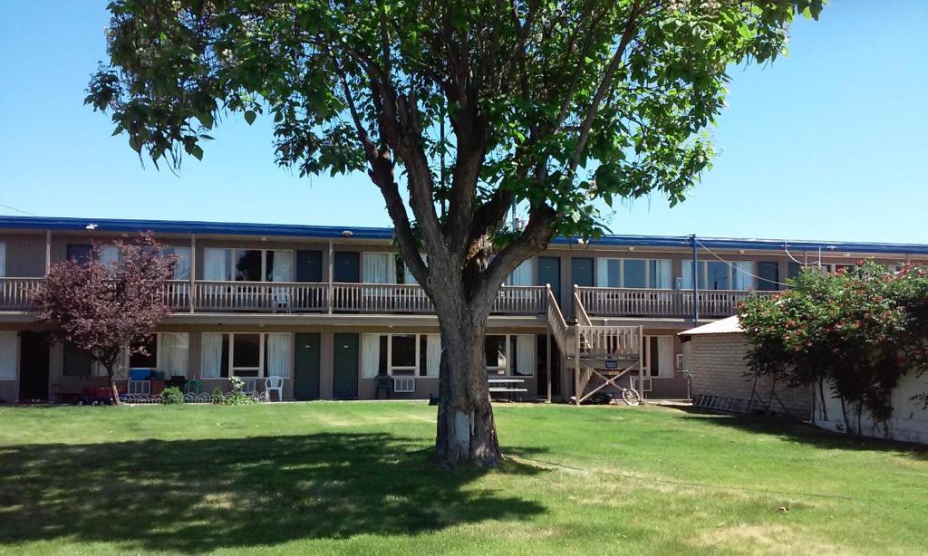 Motel Oasis Inn - main image