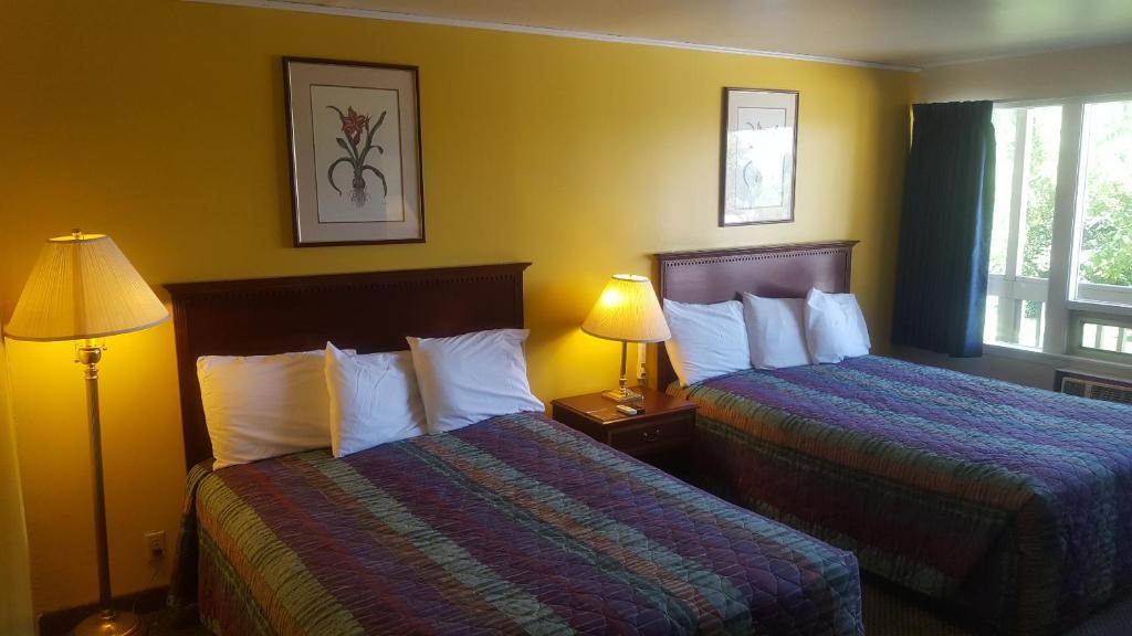 Motel Oasis Inn - image 7