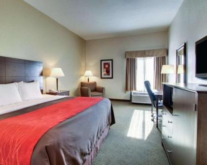 Comfort Inn Moss Point Pascagoula - image 4