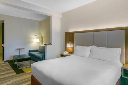Holiday Inn Express Mount Arlington an IHG Hotel - image 2