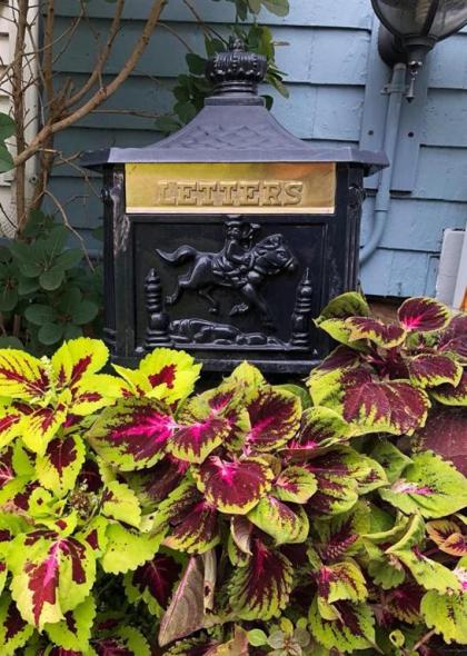 Rose Heart Inn - image 6