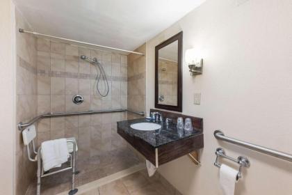 Clarion Hotel & Suites - image 13