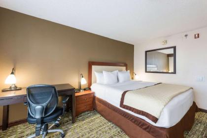 Clarion Hotel & Suites - image 14