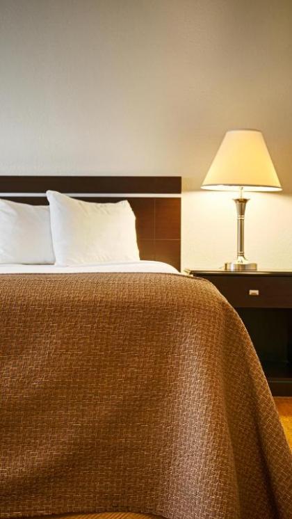 Best Western Mount Pleasant Inn - image 14