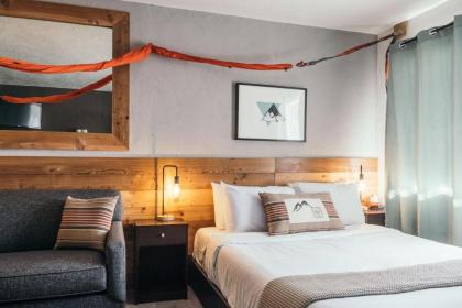 LOGE Mt. Shasta - image 11