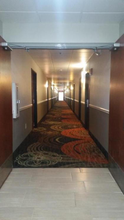Quality Inn & Suites - image 15