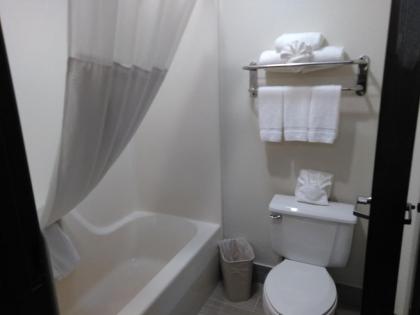 Quality Inn & Suites - image 4