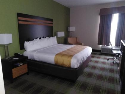 Quality Inn & Suites - image 8