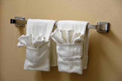 Irish Inn and Suites - image 13