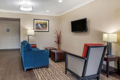 Comfort Inn & Suites Muncie - image 3