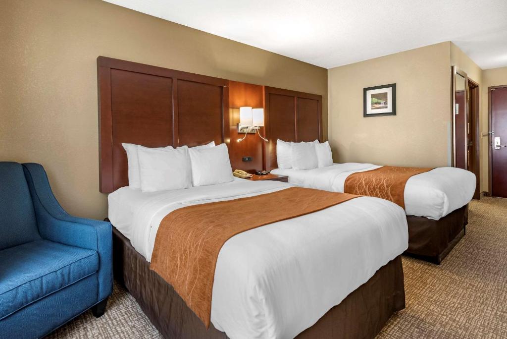 Comfort Inn & Suites Muncie - image 5