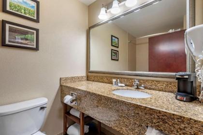 Comfort Inn & Suites Muncie - image 9