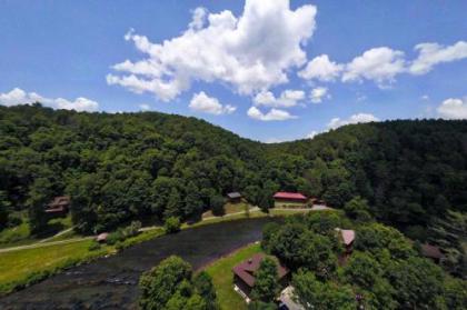 Otter Cottage Riverfront and Trailside Murphy Cabin! - image 2