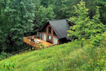 Expansive Murphy Cabin with Sunroom Near Creek! - image 4