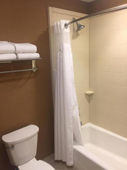 Holiday Inn Express & Suites Salt Lake City South-Murray an IHG Hotel - image 2