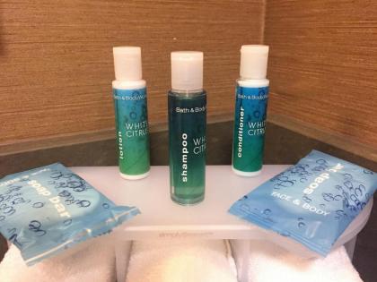 Holiday Inn Express & Suites Salt Lake City South-Murray an IHG Hotel - image 3