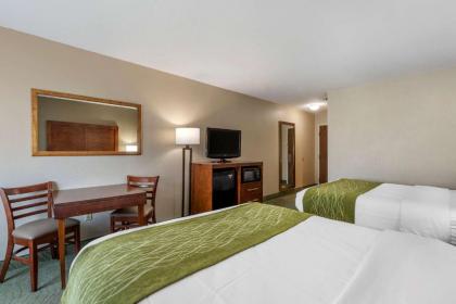 Comfort Inn Muscatine near Hwy 61 - image 13