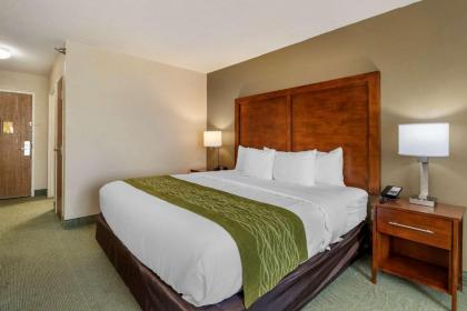 Comfort Inn Muscatine near Hwy 61 - image 8