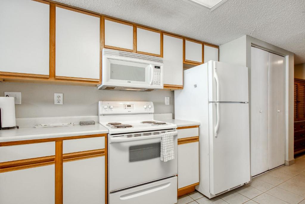 Roxanne Towers 1101 - image 5
