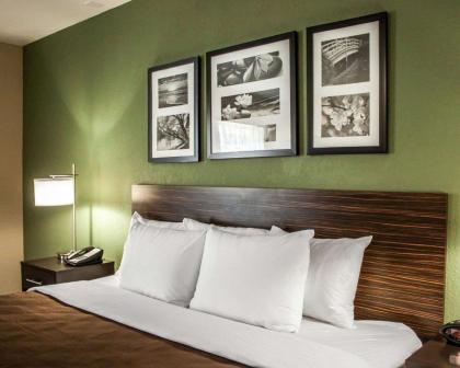 Sleep Inn - Nampa - image 13