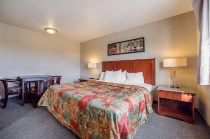 Rodeway Inn & Suites Nampa - image 14