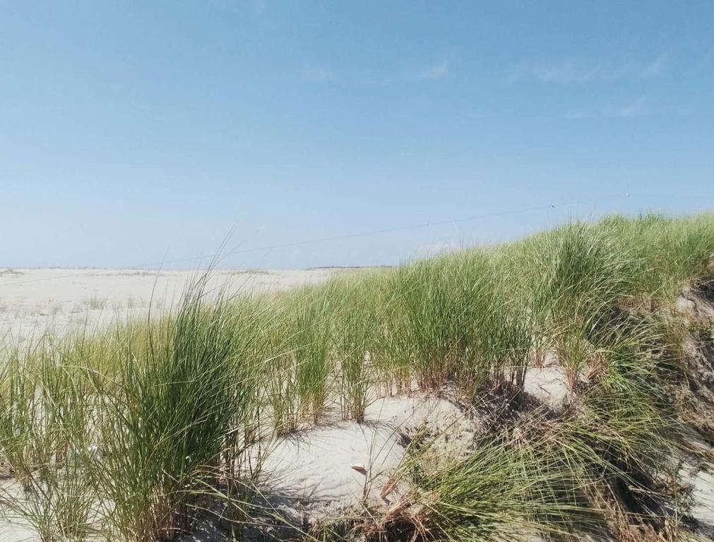 The Beachside At Nantucket - image 5