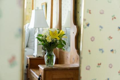 Nantucket Periwinkle - image 13