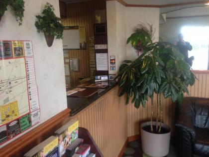 Stardust Motel - image 11