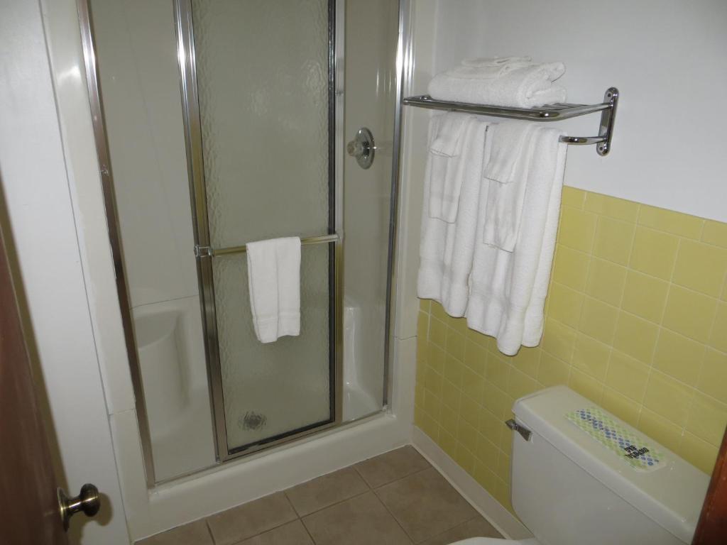 Green Valley Motor Lodge - image 5