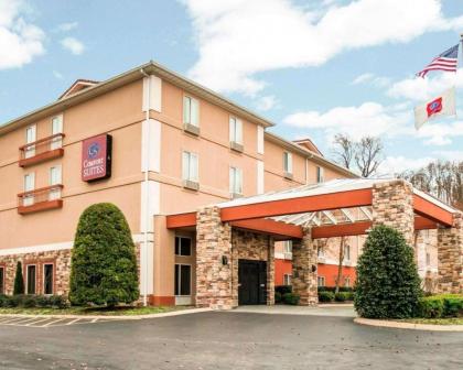 Comfort Suites Airport Nashville - image 1