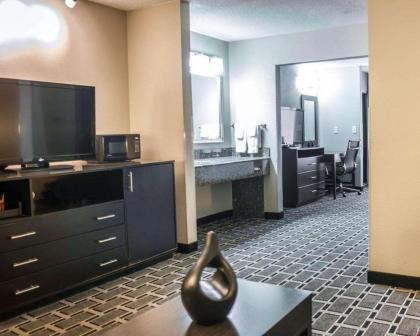 Comfort Suites Airport Nashville - image 3