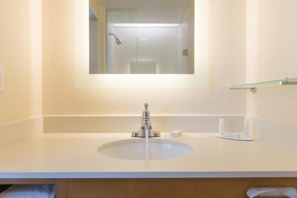 SpringHill Suites by Marriott Nashville Vanderbilt/West End - image 5