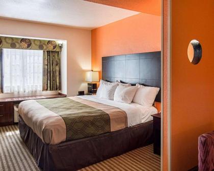 Econo Lodge Inn & Suites Natchitoches - image 10