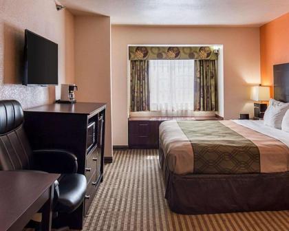 Econo Lodge Inn & Suites Natchitoches - image 14