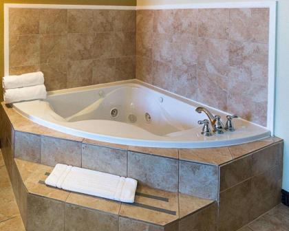 Comfort Suites Natchitoches - image 14