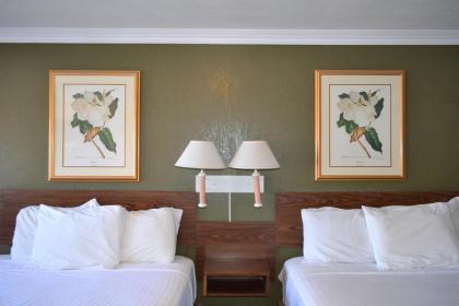 Budget Inn - image 6
