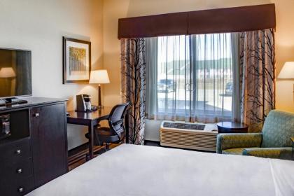 Holiday Inn Express & Suites Nevada an IHG Hotel - image 11