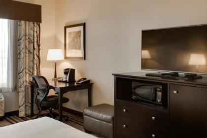 Holiday Inn Express & Suites Nevada an IHG Hotel - image 4