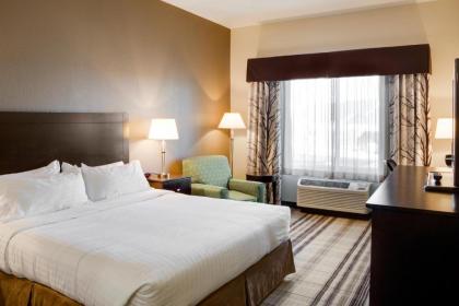 Holiday Inn Express & Suites Nevada an IHG Hotel - image 5