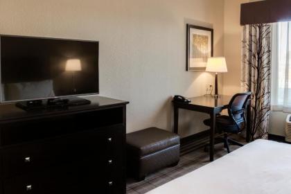 Holiday Inn Express & Suites Nevada an IHG Hotel - image 6