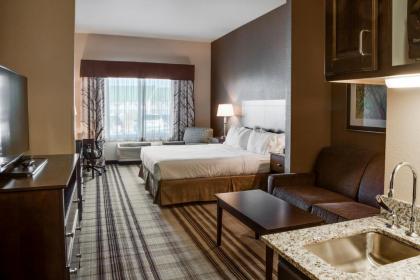 Holiday Inn Express & Suites Nevada an IHG Hotel - image 7