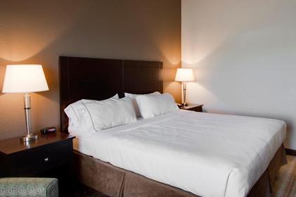 Holiday Inn Express & Suites Nevada an IHG Hotel - image 9