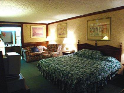 Edelweiss Inn New Braunfels - image 2