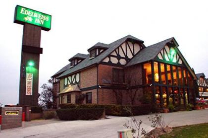 Edelweiss Inn New Braunfels - image 3