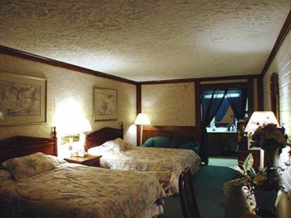 Edelweiss Inn New Braunfels - image 5