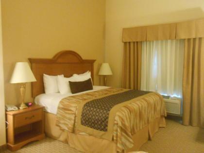 Best Western Plus New Caney Inn & Suites - image 12