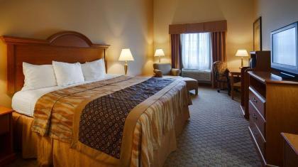 Best Western Plus New Caney Inn & Suites - image 6