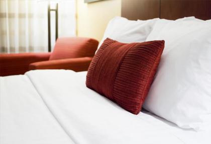 Best Western Premier Executive Residency Grand Texas Hotel - image 8