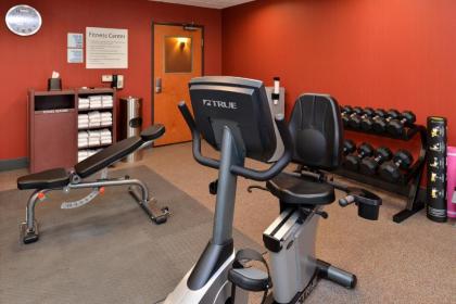 Holiday Inn Express & Suites New Martinsville an IHG Hotel - image 3