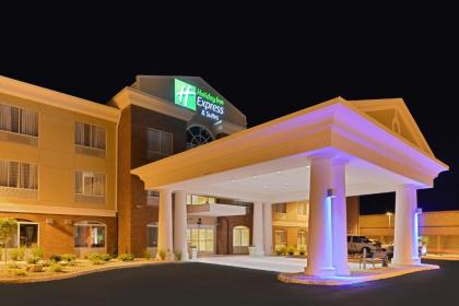 Holiday Inn Express & Suites New Martinsville an IHG Hotel - image 4